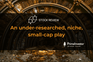 Stock review : An under-researched, niche, small-cap play