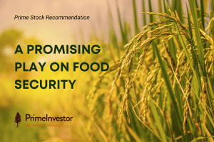 Prime stock recommendation - a promising play on food security